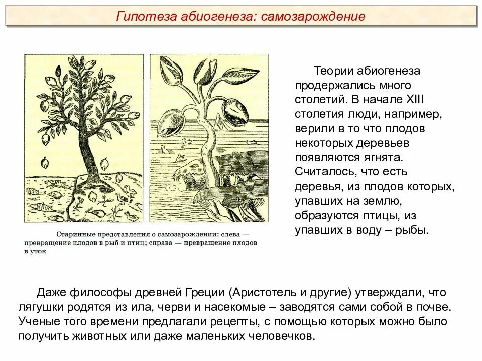 Сторонники теории абиогенеза. Абиогенез теория зарождения жизни. Гипотеза абиогенеза доказательства. Теория абиогенеза происхождения жизни.