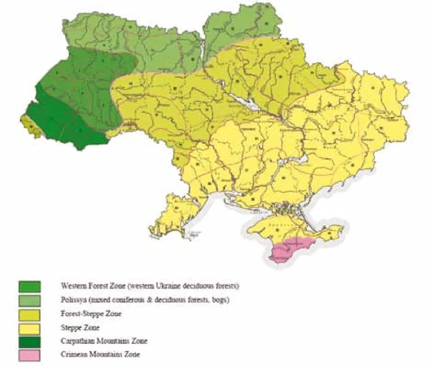 Зоны украины видео. Степная зона Украины на карте. География Украины. Карта Украины по зонам. Регионы Украины природные.