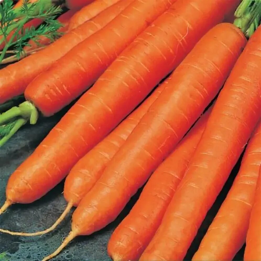 Морковь карамель красная. Морковь карамелька. Семена морковь карамелька. Морковь карамелька. Морковь карамелька.