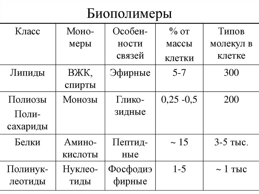 Таблицу биополимеры