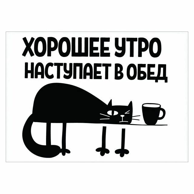 Уже вечер а не утро. Хорошее утро начинается в обед. хорошее утро наступает в обед. доброе утро начинается в обед. доброе утро наступает в обед.