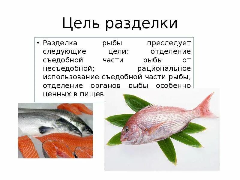 Каким продуктом является рыба