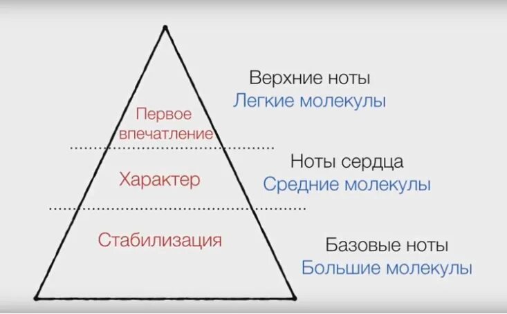 Пирамида туалетной воды. Ольфакторная пирамида аромата. Верхние Ноты духов. Пирамида нот ароматов. Базовые Ноты в парфюмерии.