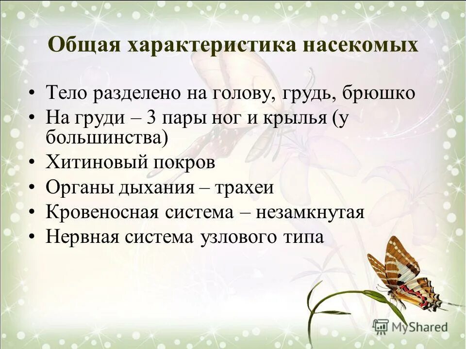 Три особенности насекомых. Общая характеристика насекомых. Основные характеристики насекомых. Характеристика класса насекомые. Класс насекомые общая характеристика.