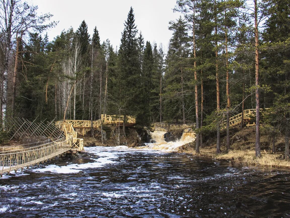 Года в хвойной. Водопады Ахвенкоски. Водопады Ахвенкоски Карелия. Рускеальские водопады Ахвенкоски. Река Кумса Карелия.