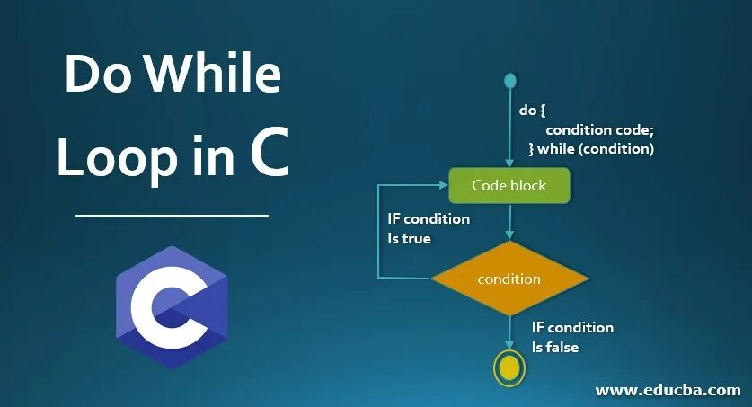 Цикл do while loop. Конструкция while. while loop. do while loop. for loop in c.