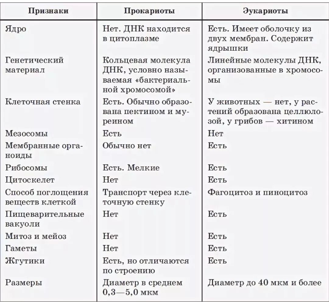 Признаки прокариоты и эукариоты таблица. Сравнительная характеристика клеток прокариот и эукариот. Таблица по биологии сравнение клеток прокариот и эукариот. Строение клеток прокариот и эукариот таблица.