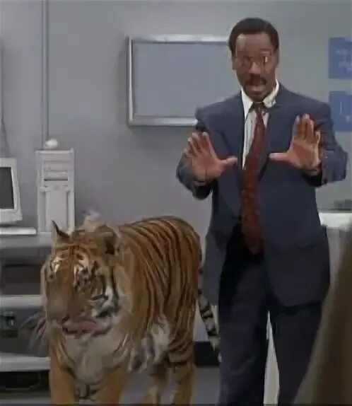 Tiger dr. Tiger dr