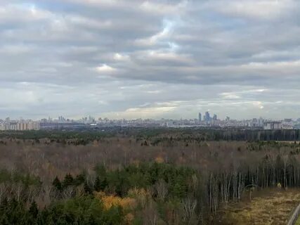 Северное города одинцово раскинулся подушкинский лес