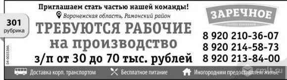 Объявление на новую ферму требуются. Объявление требуются на ферму. Воронеж камелот посудомойщицы