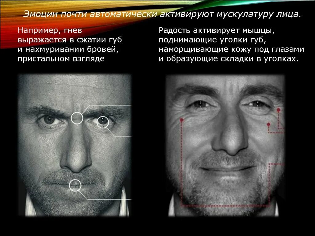 По жестам и мимике понять человека. Невербальные проявления лжи. признаки лжи. распознавание лжи по мимике. признаки лжи в мимике.