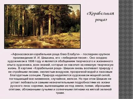 Русский лес кратко