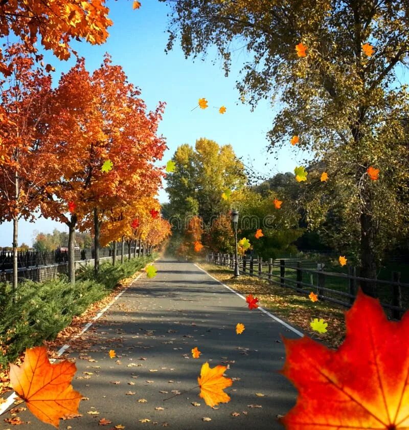 Красивая осень. Осенний ожидать. Картинка ждите осенью. It was early autumn. Осенний ожидать.