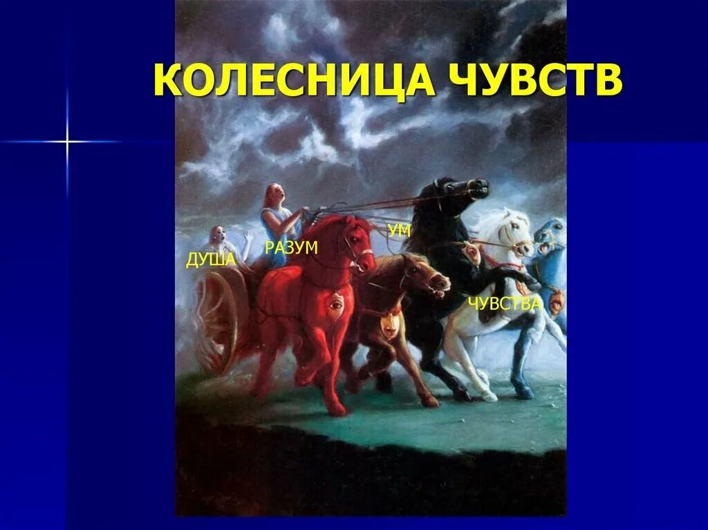 Колесница мысли мужчины о женщине