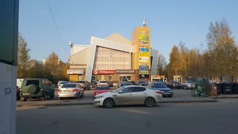 Пушкинский сургут
