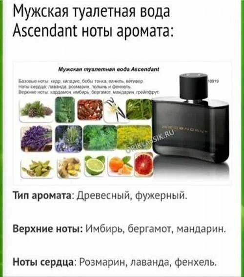 Туалетная вода Ascendant. Oriflame туалетная вода Ascendant цены. Ascendant Oriflame туалетная вода для мужчин цена. Марио Лейдан мужские духи. Туал вода отзывы