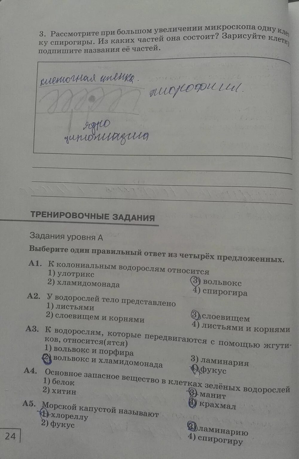 Тренировочные задания по биологии 7 класс. Тетрадь по биологии 7 класс Сонин Захаров задания. Рабочая тетрадь задание многообразие живых организмов 10. Биология 5 класс рабочая тетрадь разнообразие живой.