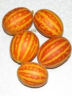 Вьетнамская дыня семена