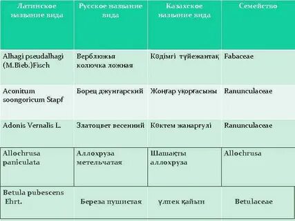 Простейшие латинское название