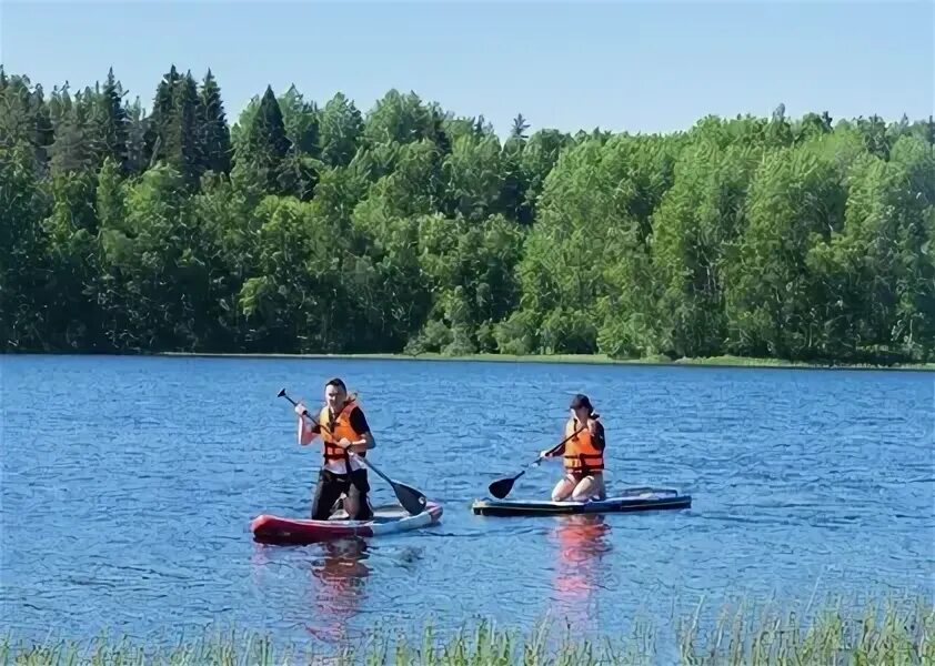 Go sup. Go sup