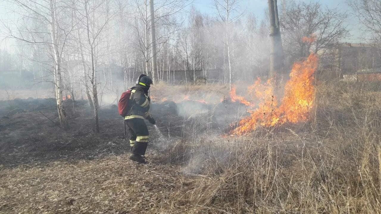 Пал сухой травы МЧС. Палы сухой травы Владимирская. МЧС Ярославской области пал травы. Пожар весной.