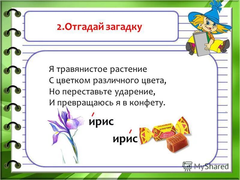 Ирис омонимы. Ирис ирис ударение. Ирис ирис ударение. Ирис омонимы. Слова замок замок.
