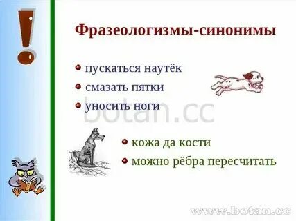 На четырех ногах слова