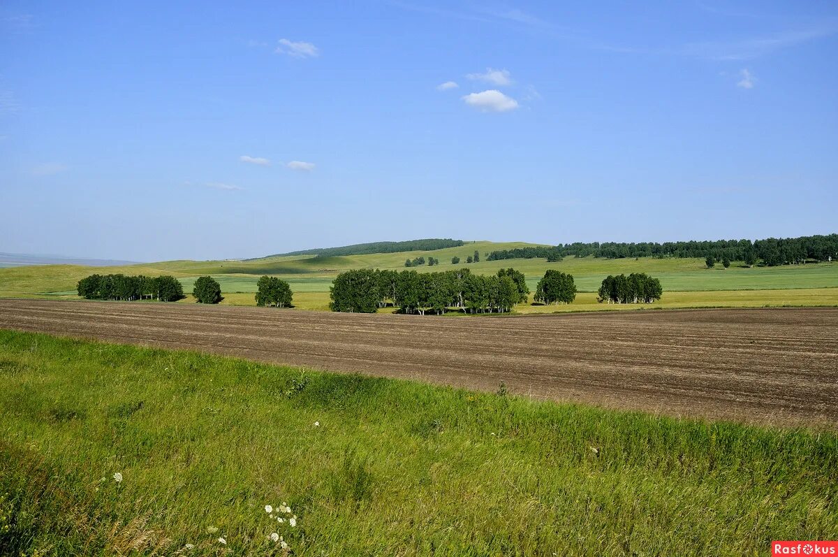 Новоселовский район улазы. Село новоселово новоселовский район. Красноярское водохранилище новоселово. Герб новоселово. Новоселовский сельсовет красноярский край.