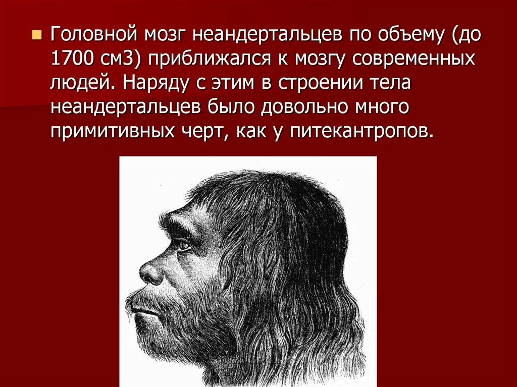 Объем головного мозга наибольшее. Объём мозга неандертальца. Неандерталец головной мозг. Объём головного мозга палеоантропов. Человек неандерталец объем мозга.