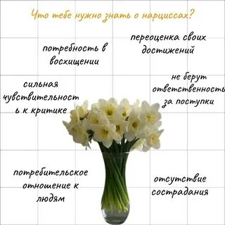 Нарцисс психология отношений