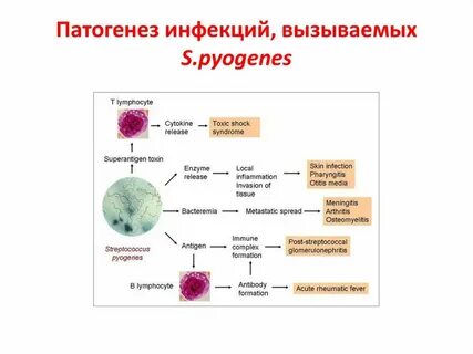 Токсис поражен