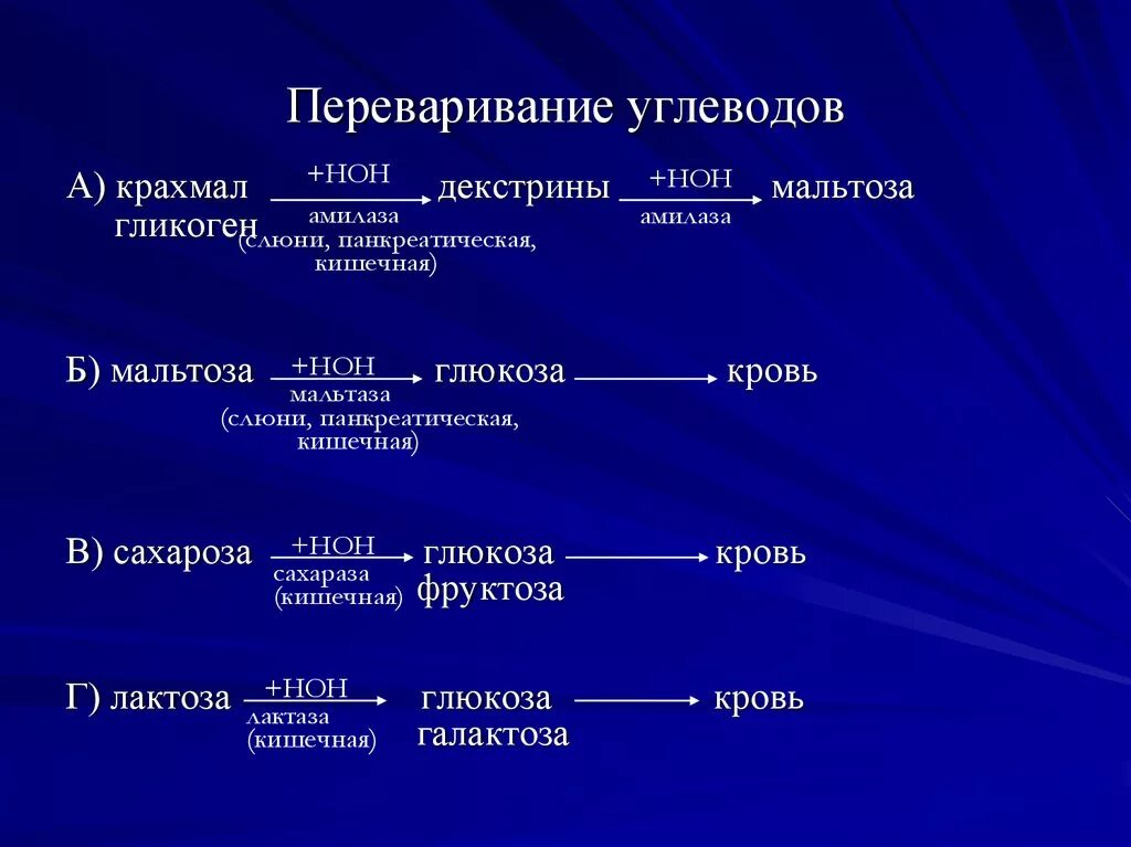 Крахмал расщепляется ферментом