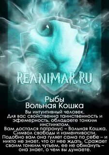 Тест твой патронус