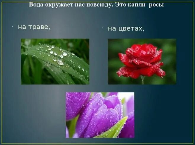 Описание воды 2 класс. Рассказ о красоте воды. Презентация на тему красота. Рассказ о красоте воды 2 класс. Презентация красота воды.