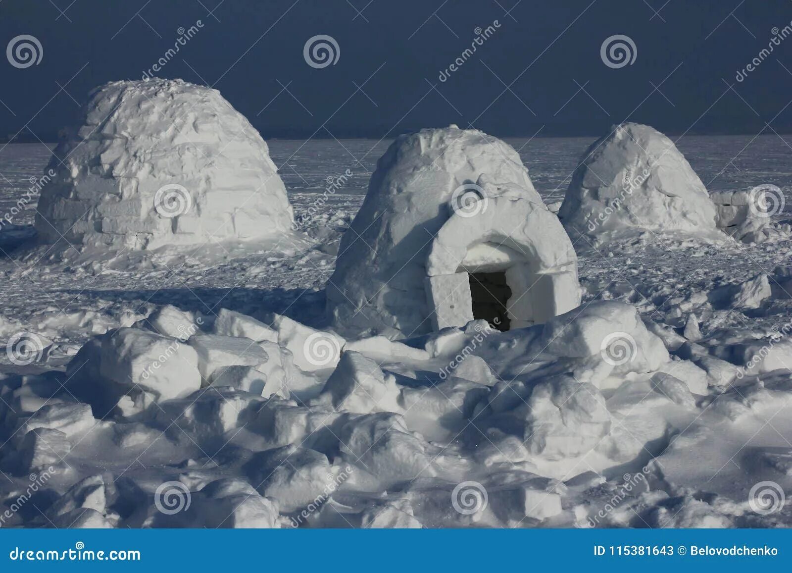 эскимосы 4 букв