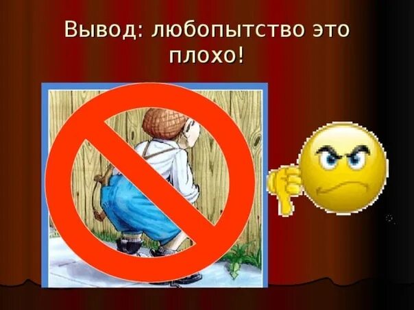 Заглядывает в забор. Слово любознательность. Любопытство и любознательность. Любопытство и любознательность. Фотограф и животные.