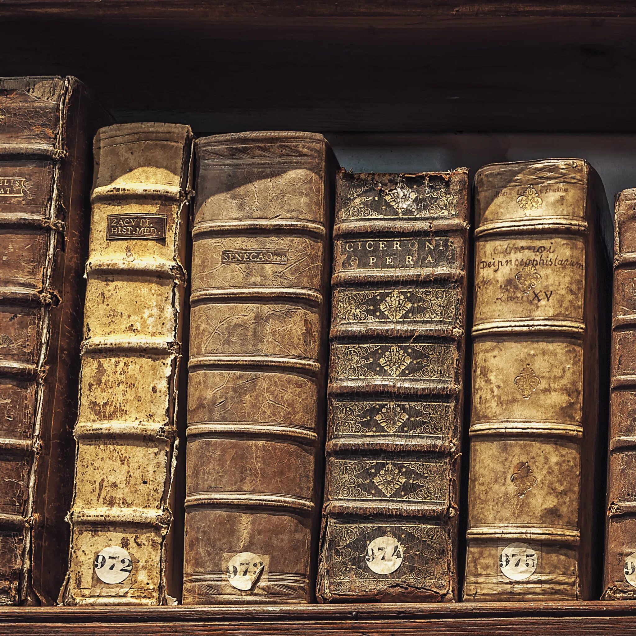 Старинные книги. Редкие старинные книги. Фонд редких книг. Редкая древняя книга. Коллекция древних книг.