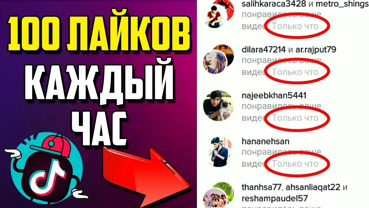 Бесплатная накрутка в тик токе без заданий. Накрутка подписчиков в TIKTOK. Накрутка тик ток. Накрутка лайков в тик ток. Как накрутить лайки в ТИКТОКЕ.