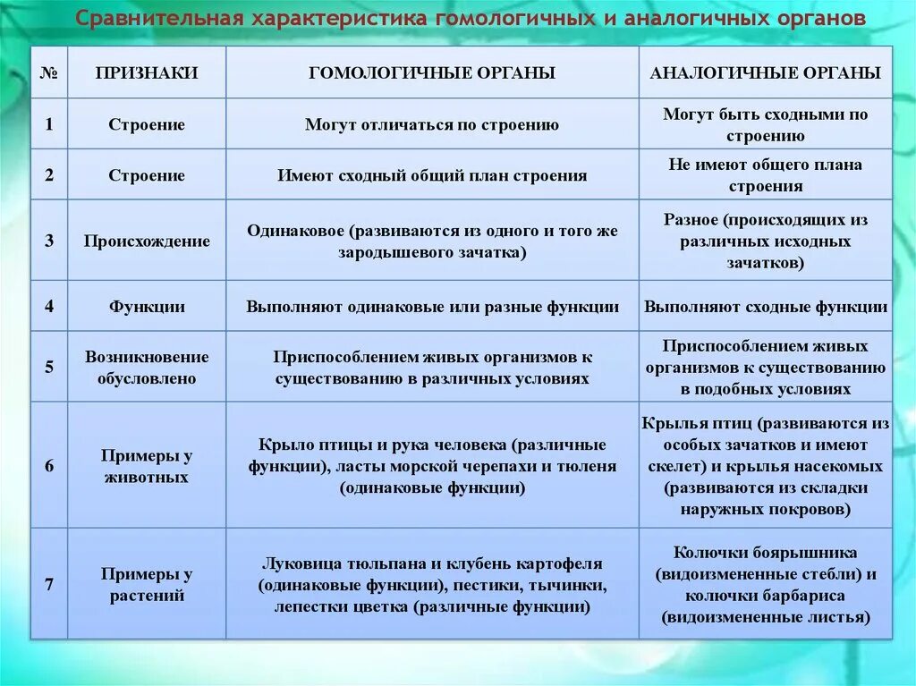 Аналогичные условия это. Характеристика гомологичных и аналогичных органов. Сравнительная таблица гомологичных и аналогичных органов. Сравнительная характеристика гомологичных и аналогичных органов. Гомологичные и аналогичные органы примеры таблица.