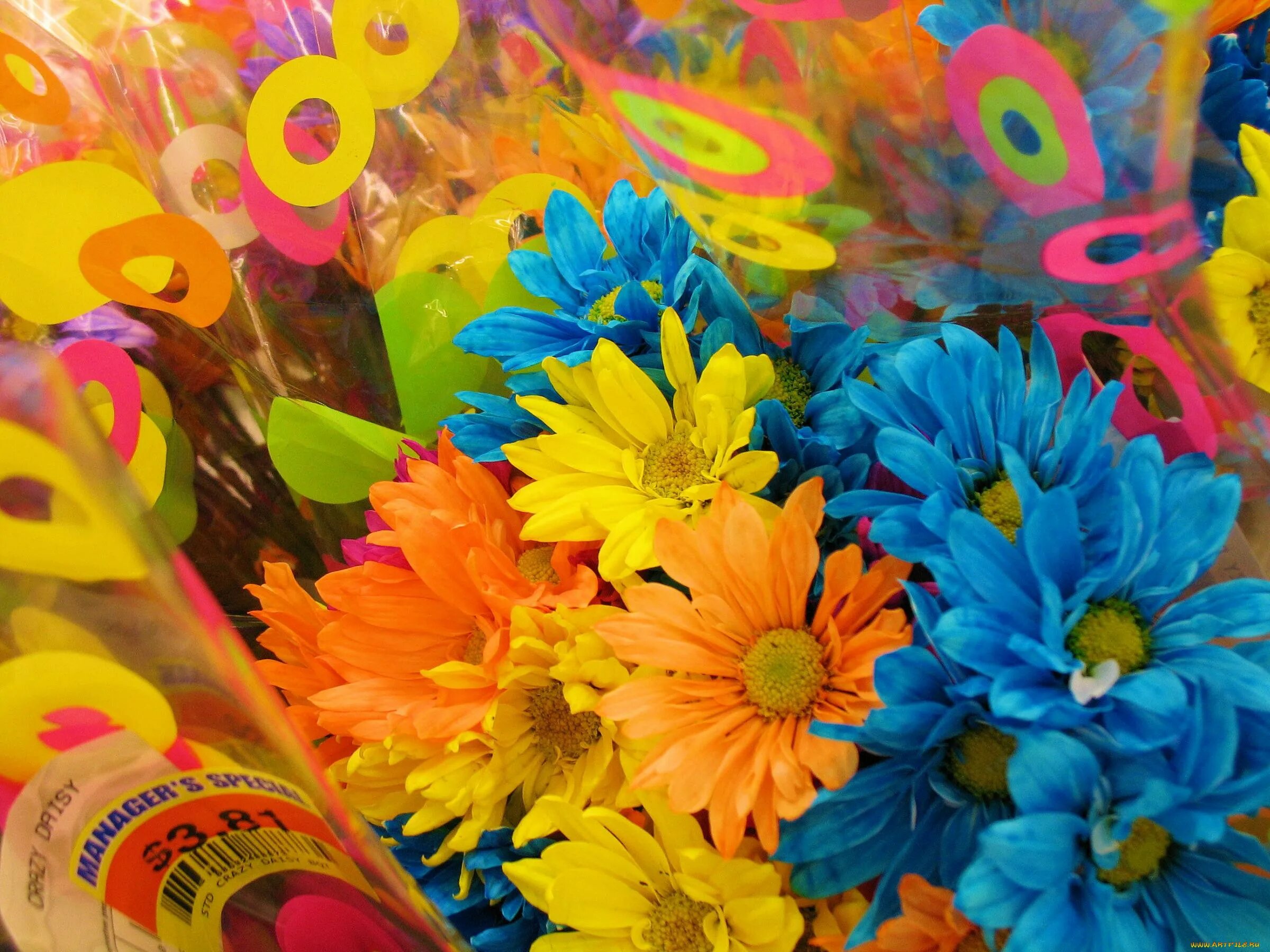 Цветное день рождения. Яркие цветы. Яркий букет. Разноцветные цветы. Красивые яркие цветы.