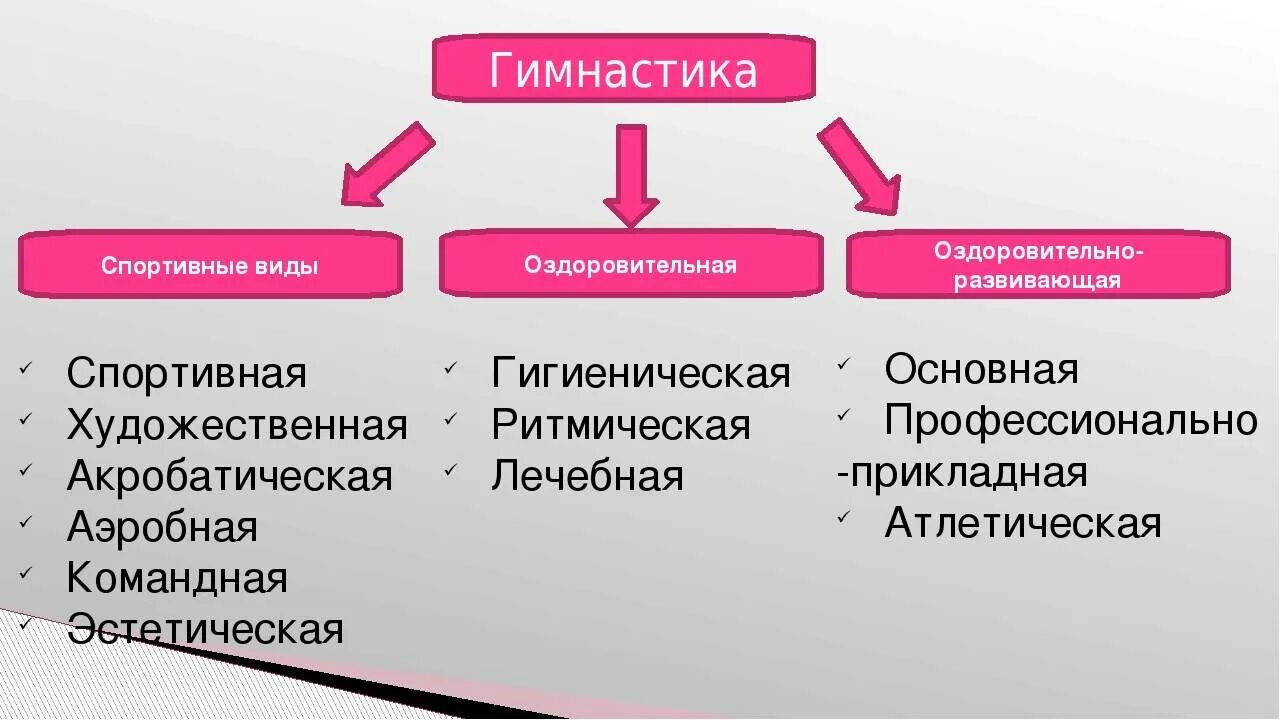 Который входит в группу основных. Классификация видов гимнастики. Схема классификации видов гимнастики. Гимнастика виды гимнастики. Виды гимнастики и их характеристика кратко.