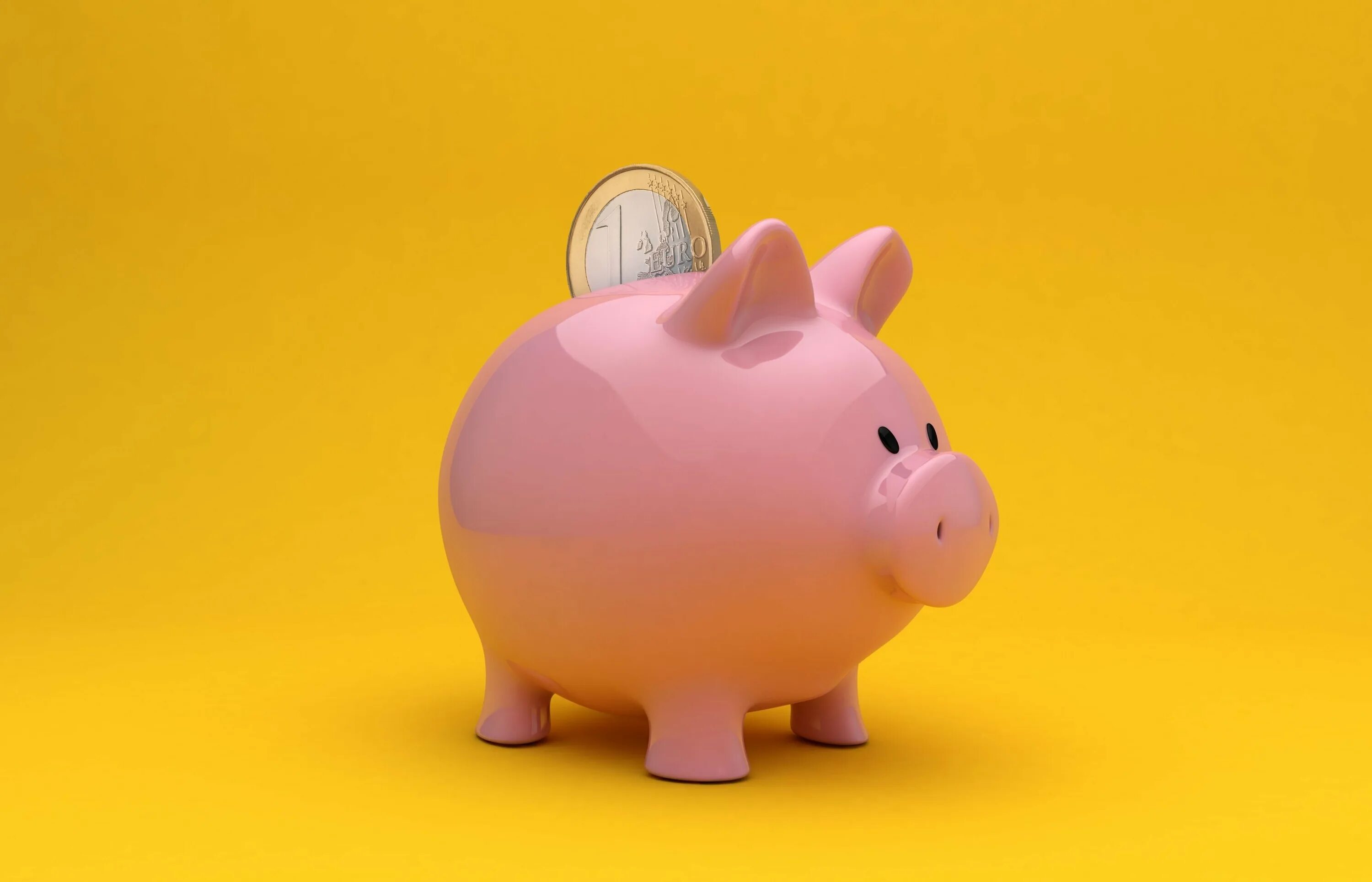 Копилка piggy bank. Свинья-копилка. Копилка Свинка. Копилка «поросенок». Желтая свинья копилка.