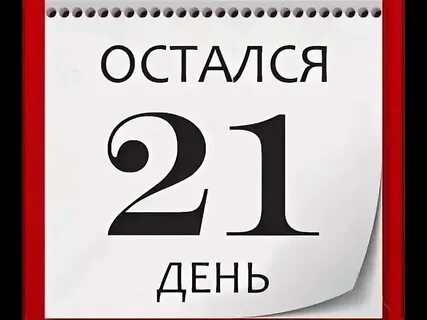 Сколько осталось дней до 27 ноября 2024