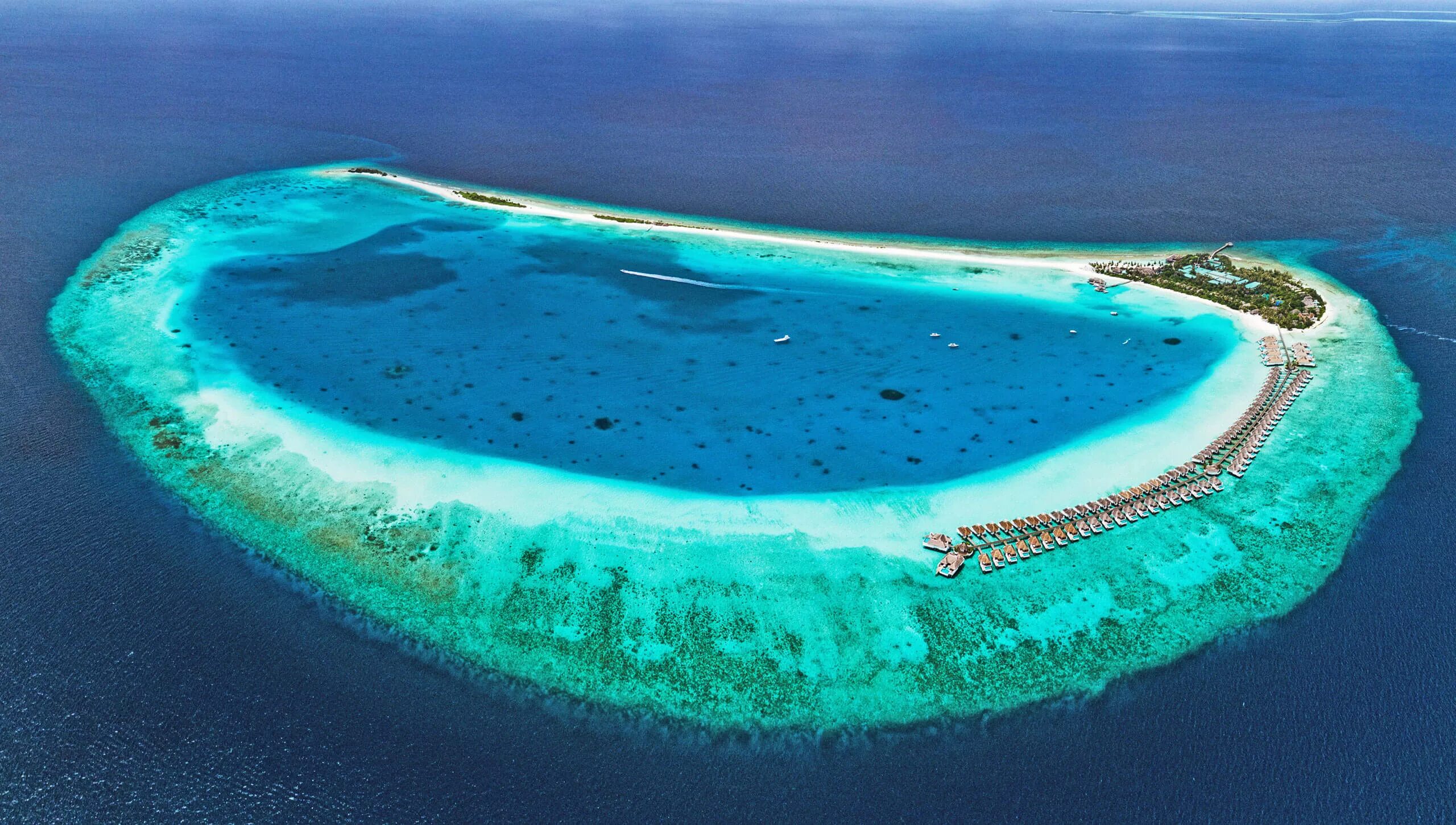 Атолл коралловый остров. Барьерный риф белиз. Баа-атолл мальдивские острова. Атолл коралловый остров. Баа атолл мальдивы.