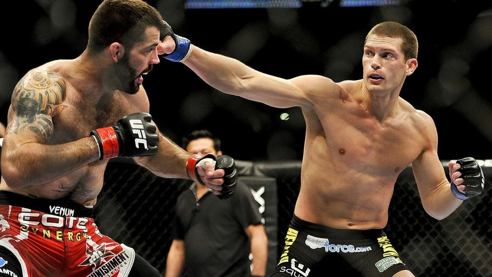 Стивен томпсон. Томпсон вукич прогноз. Томпсон вукич прогноз. Стивен томпсон. Томсон юфс 291.