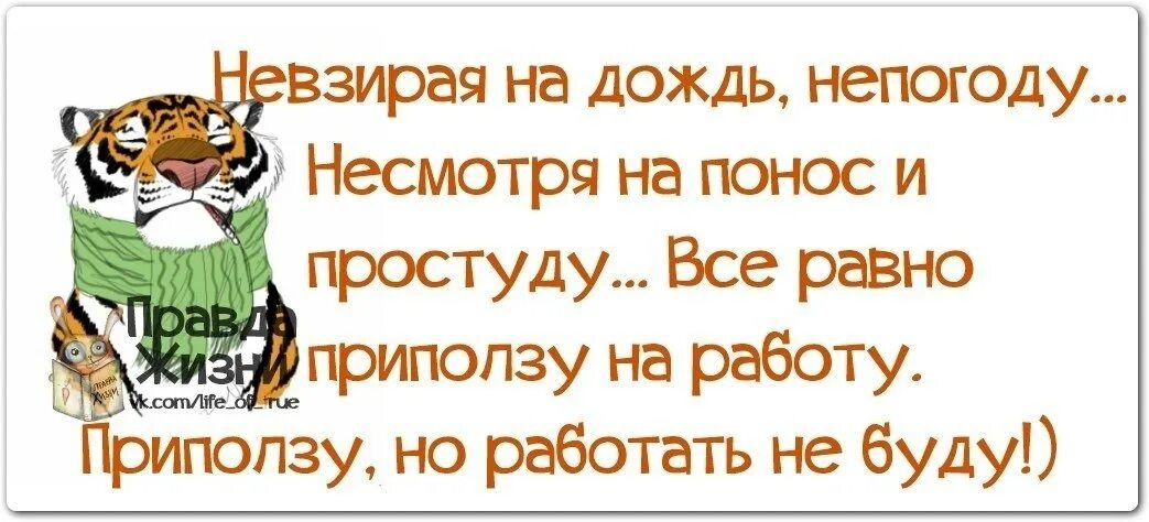 На работу после праздников приколы. На работу приду но работать не буду. Всё равно приползу на работу. Послепрпздников на работу приколы. Невзирая на дождь