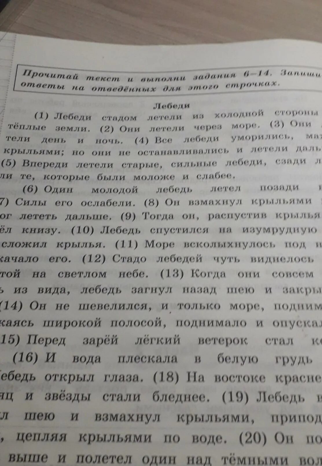 Стадо близкое по значению. Замени слово стадо. замени слово стадо близким по значению словом. стадо значение слова.