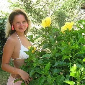Скрипкина одноклассники