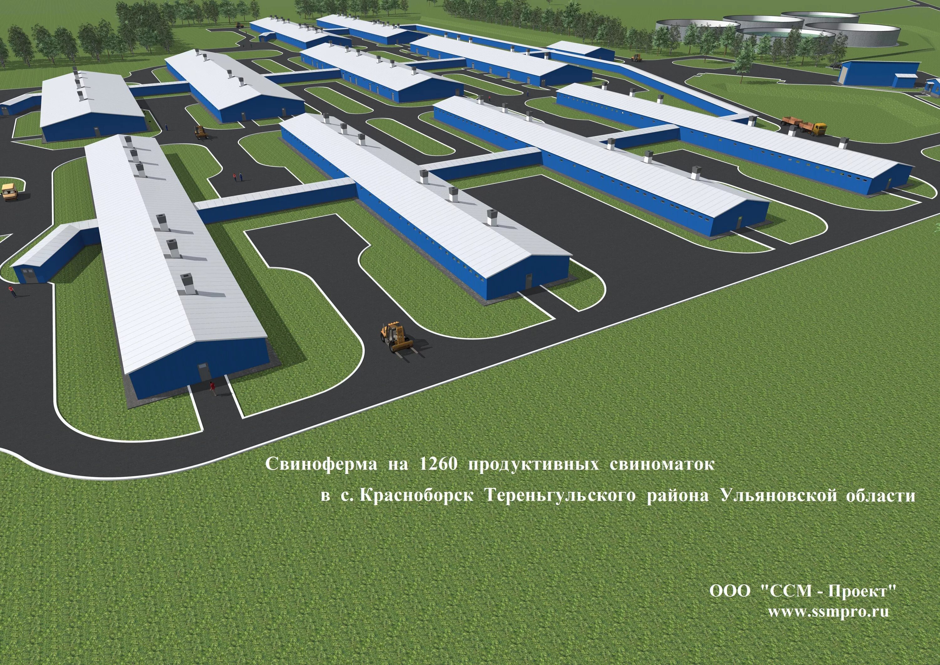 ферма свинарник. современная свиноферма. свинофермы великолукского мясокомбината. большемуртинский свинокомплекс. свиноферма где находится.