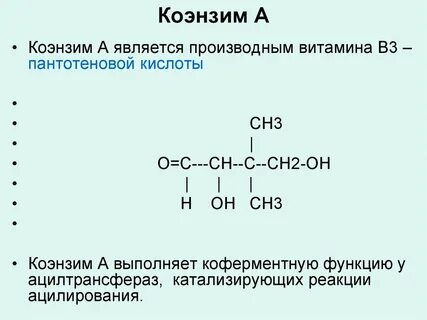Биологическая роль кофермента а